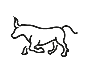 picto Bull