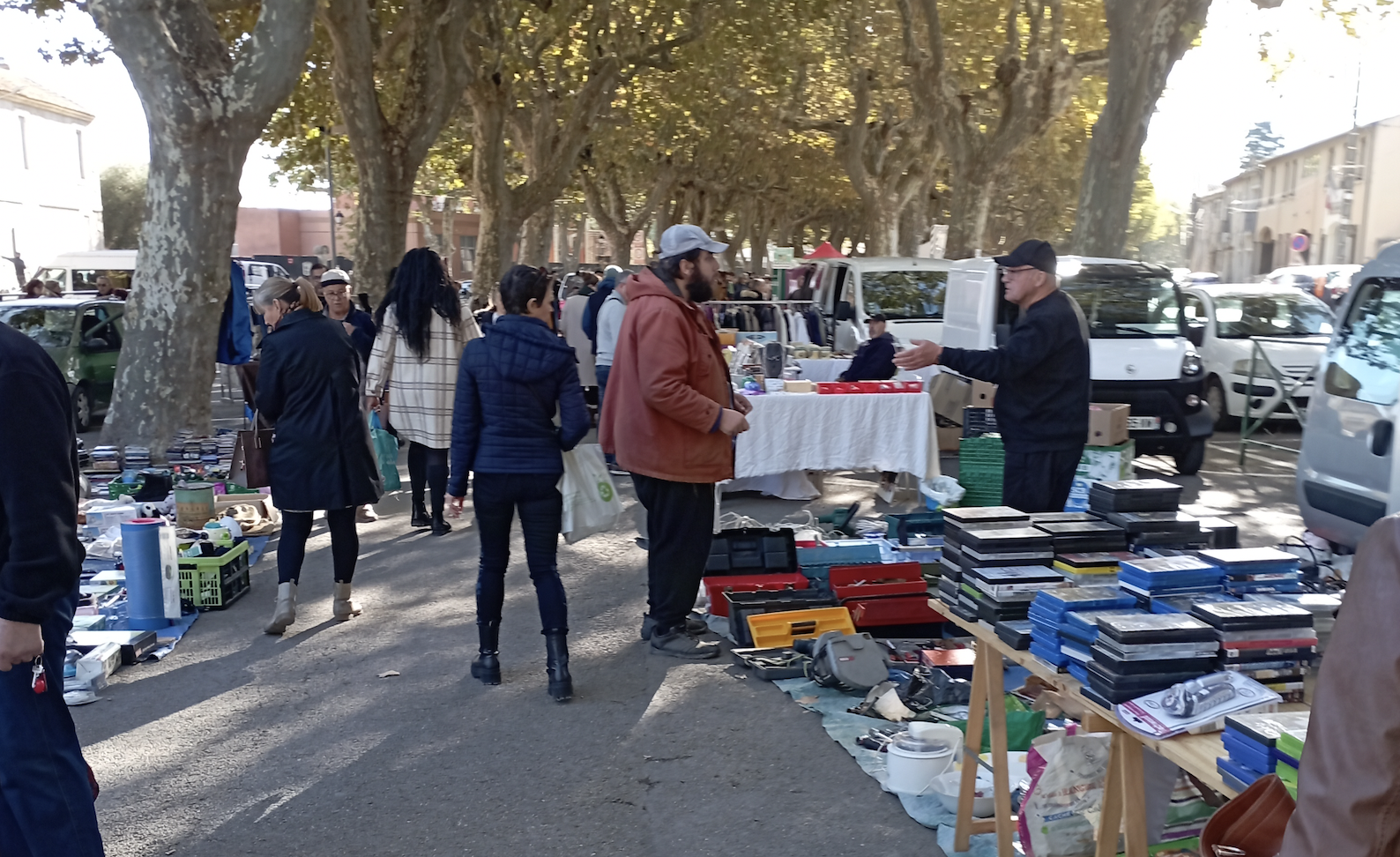 Puces Aimargues, tous les dimanches