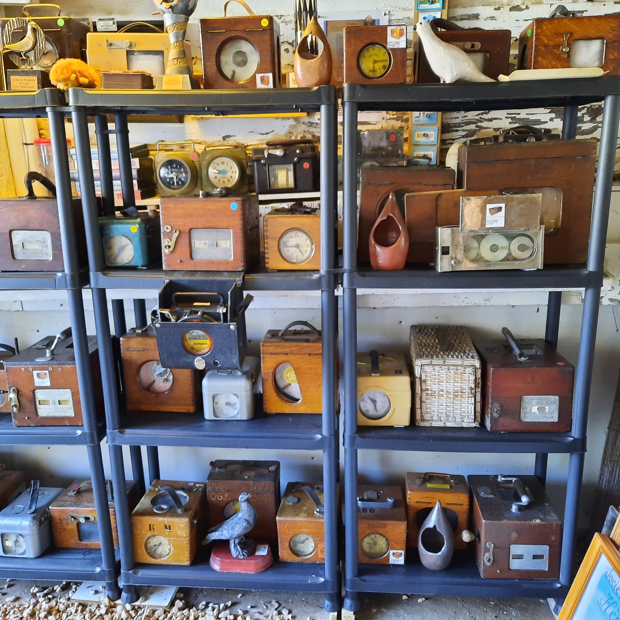 Le Petit Musée Antique du Pigeon Voyageur