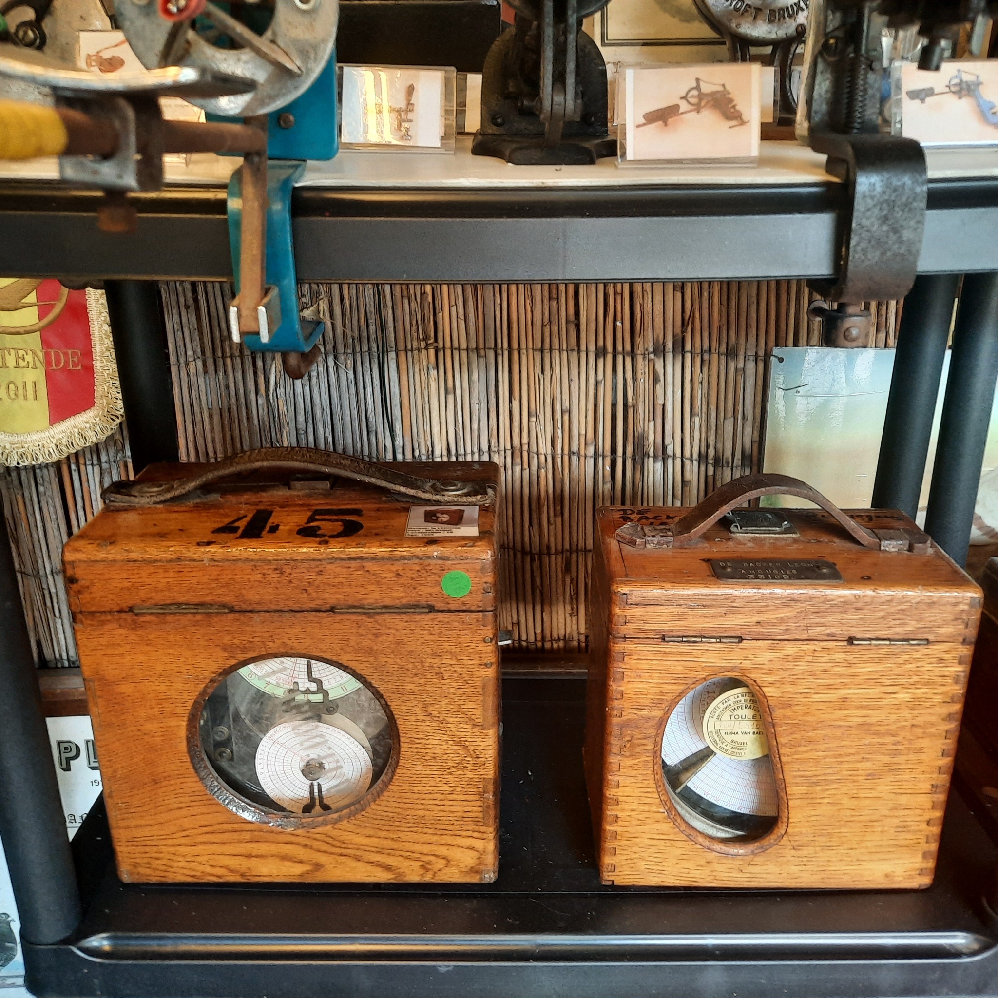 Le Petit Musée Antique du Pigeon Voyageur