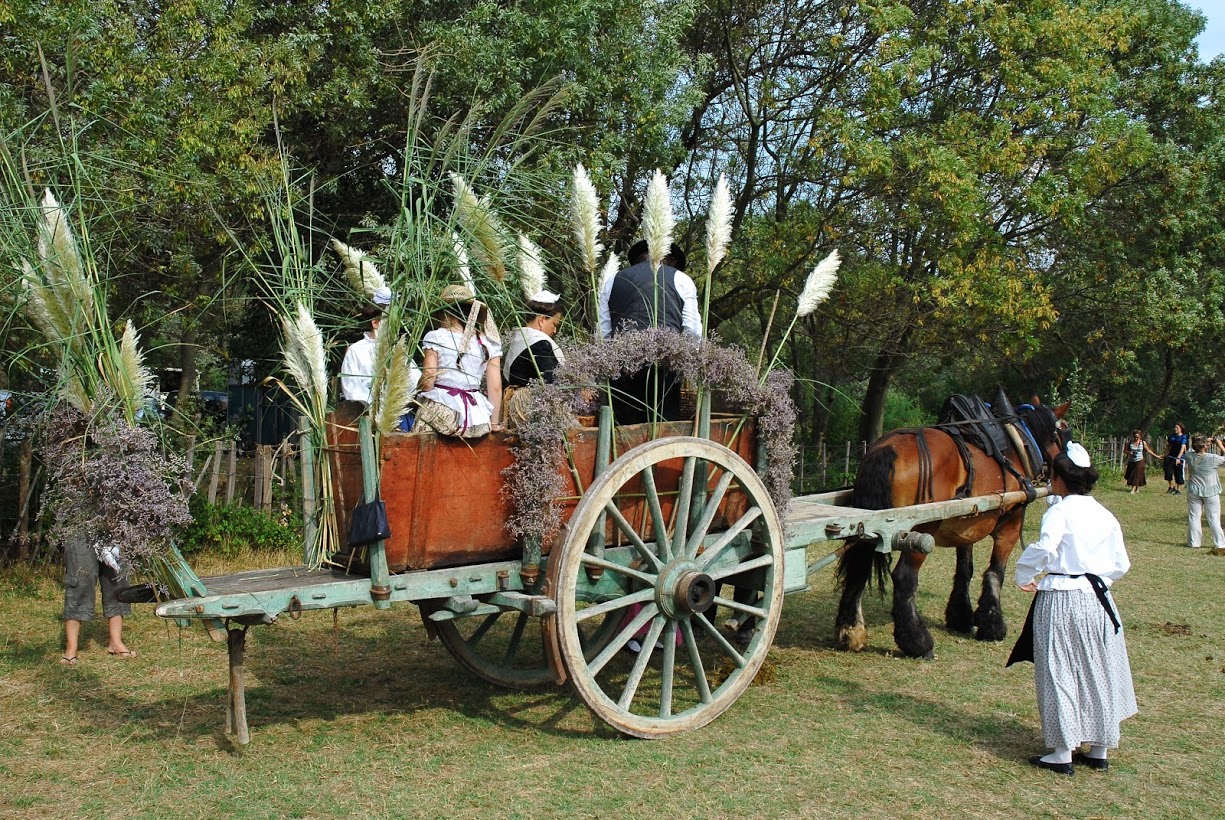 Fete de la Saladelle - 30 août 2026 - Le Cailar