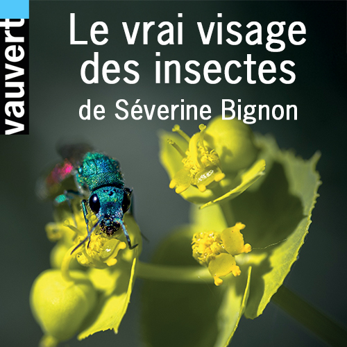 Le vrai visage des insectes expo Vauvert