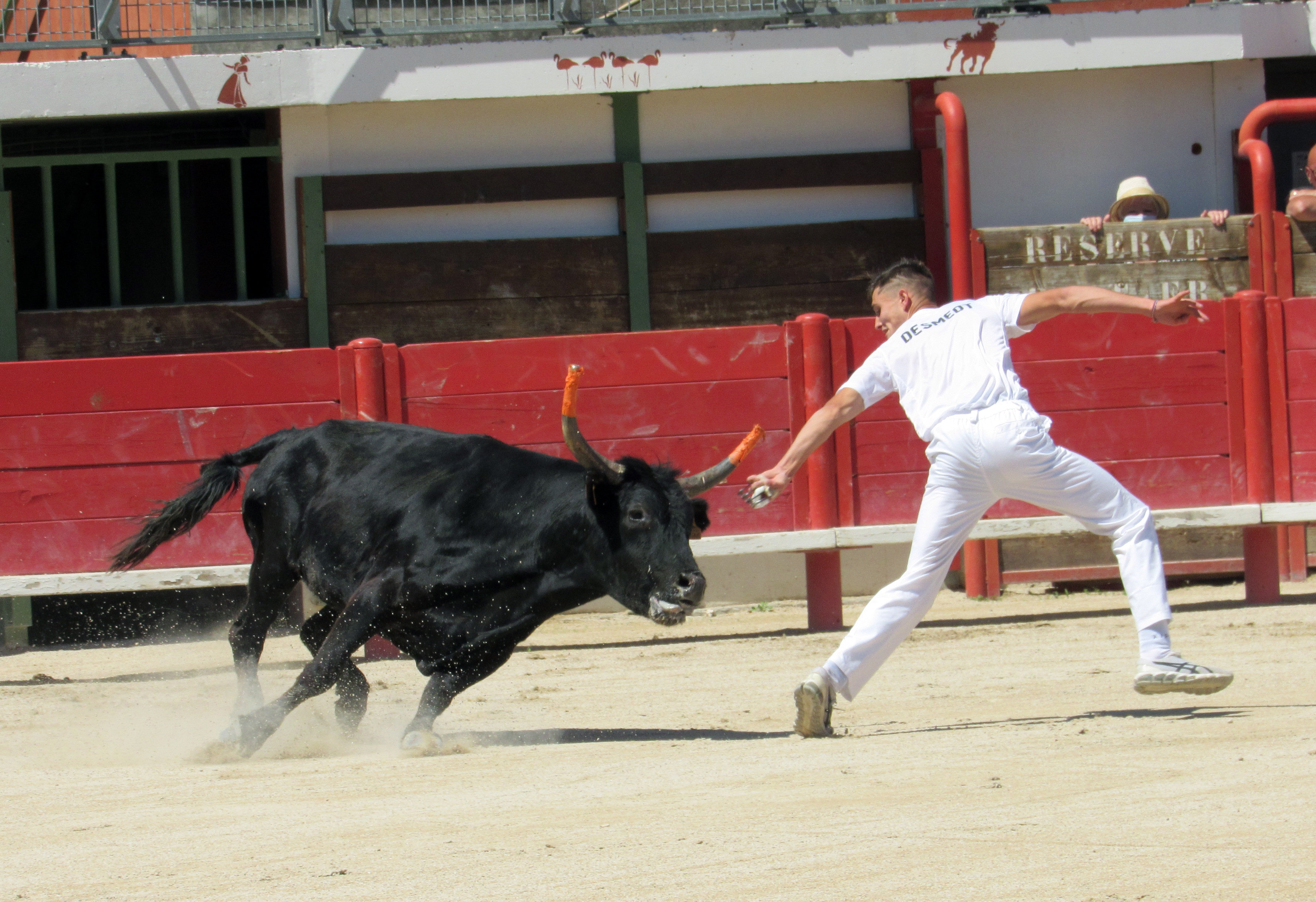 C Ot Heart of Little Camargue