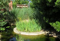 greenery pool room natural welcome