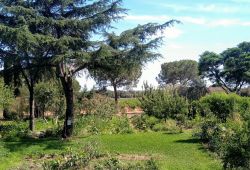 Gallician Bourgarel Flavors