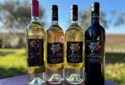 domaine la galine beauvoisin