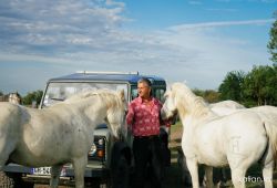 La Camargue d'Antan