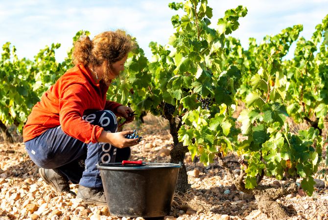costières de nîmes