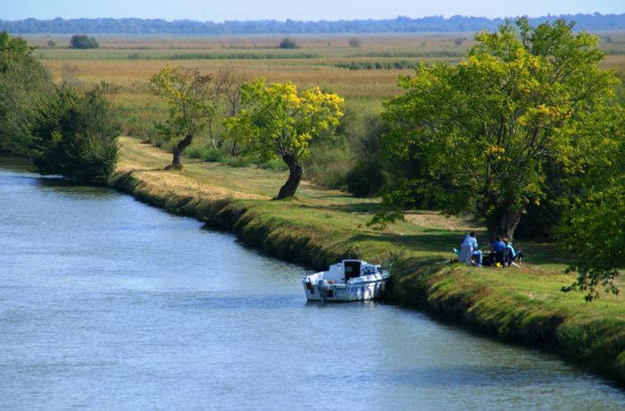 Canal du Rhône à Sète