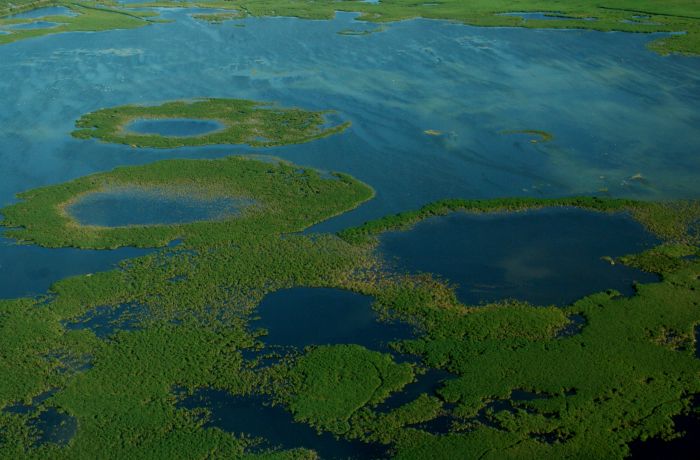etang du crey