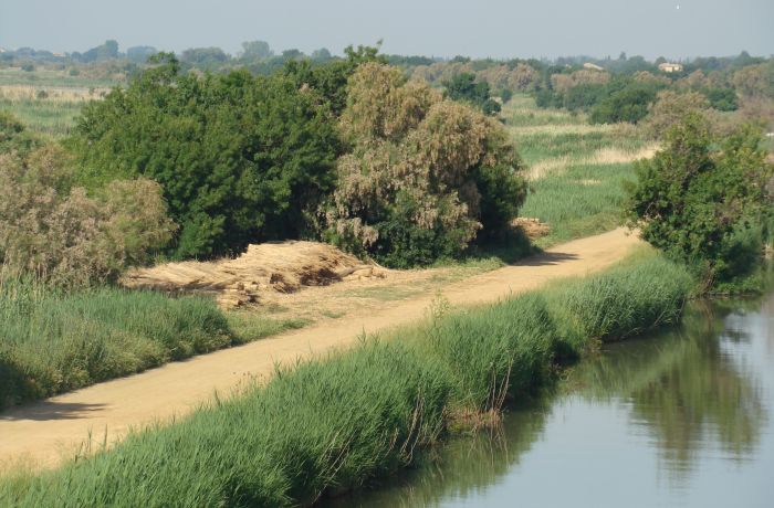 Canal du Rhône à Sète