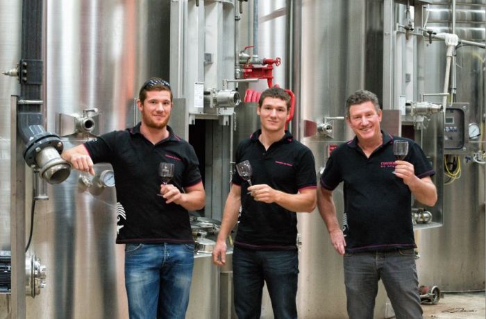 domaine du vistre vauvert