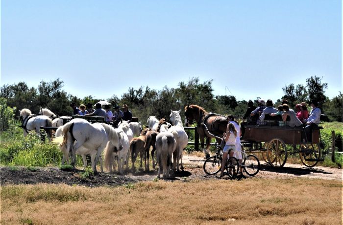 carriage of the clapière