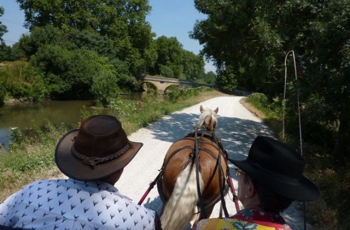 Camargue in the past