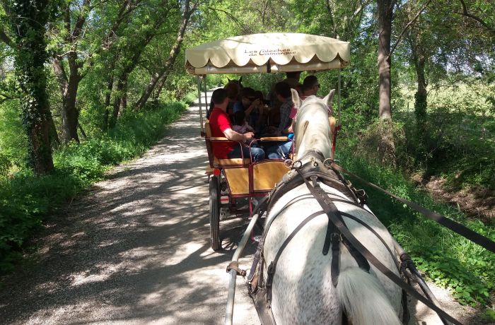 the Camargue horse-drawn carriages of Le Cailar