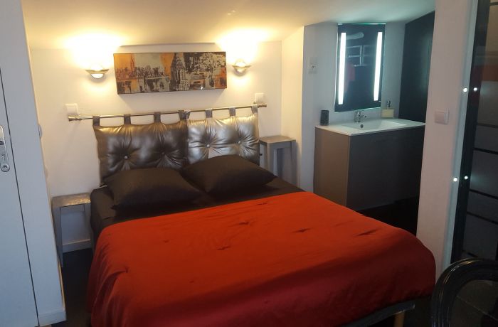 rental the Louvre room 5 Vauvert