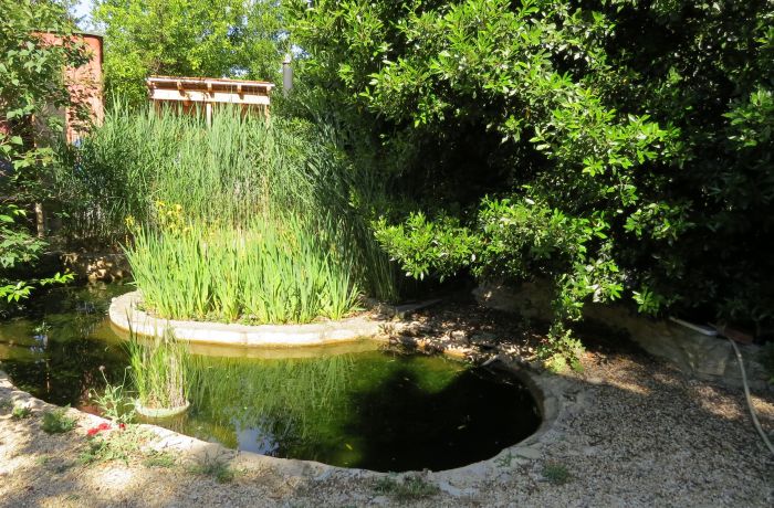 dormitory room with natural welcome and aquatic pool