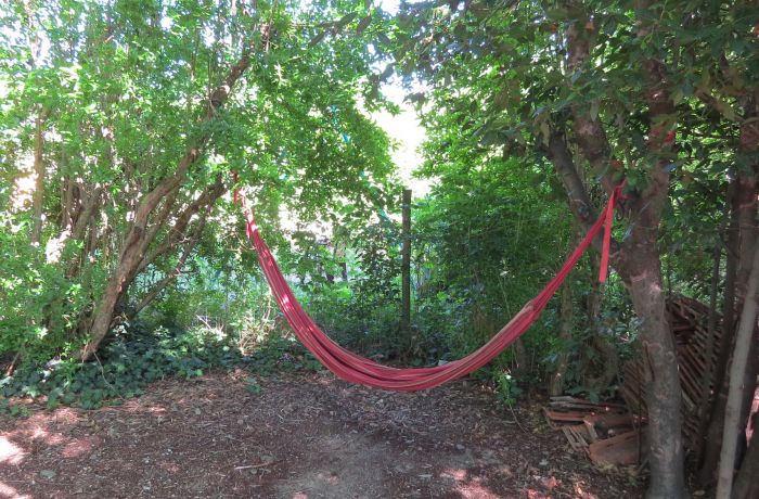 dormitory room natural welcome relaxation area