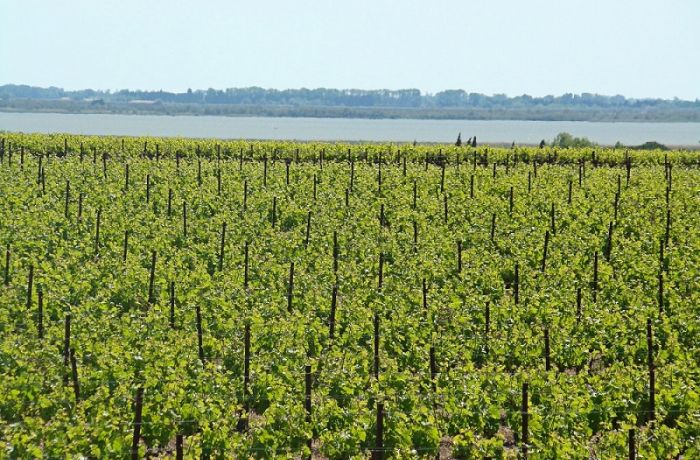 costières