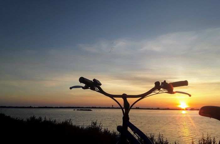 happy tour camargue