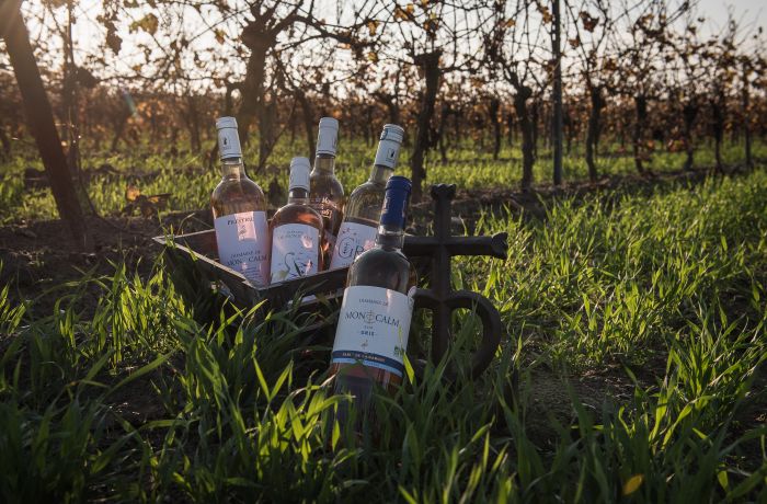 domaine de montcalm