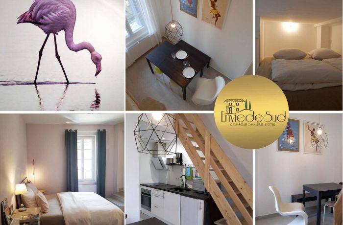furnished tourist accommodation with pink flamingos Envie de Sud in Vauvert