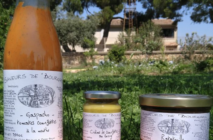 Gallician Bourgarel Flavors