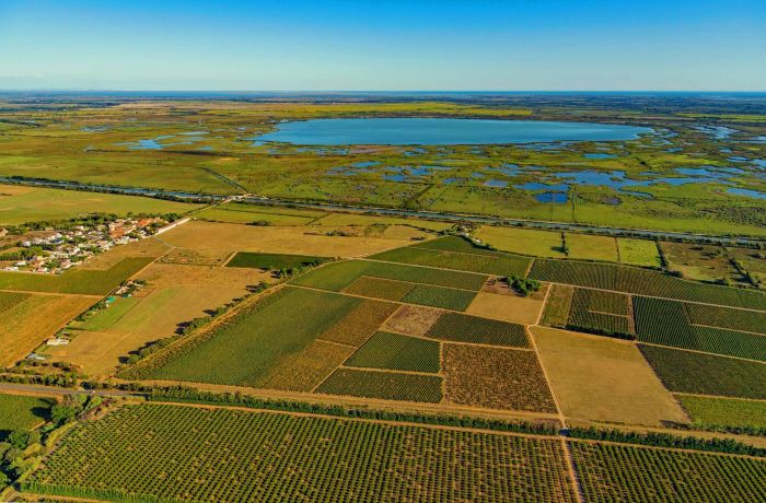 camargue gardoise
