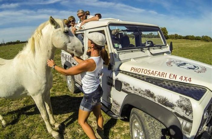 wild camargue