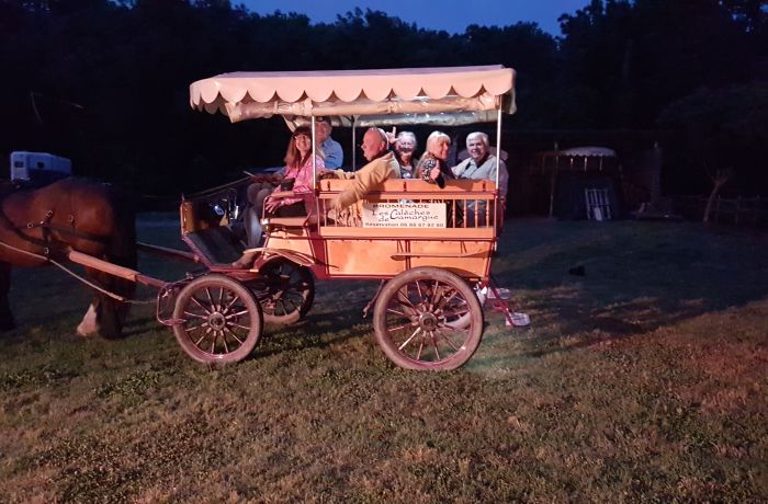 the Camargue horse-drawn carriages of Le Cailar