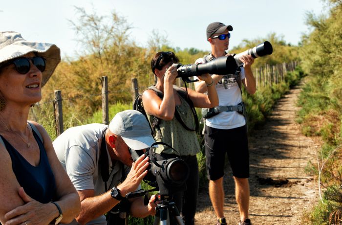 photographes ornitho