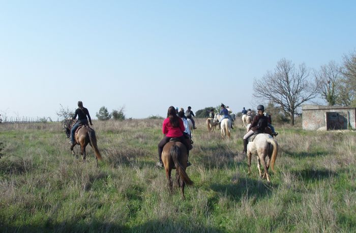 Camargue horseback riding with Théo Beauvoisin