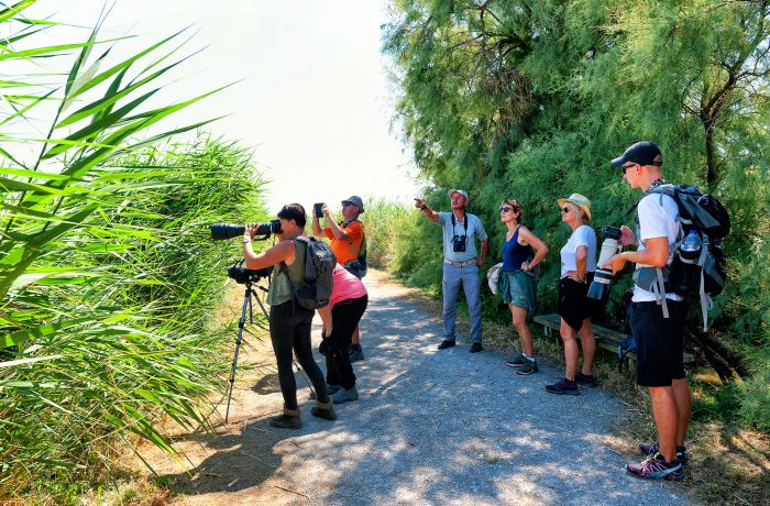 photographes ornitho