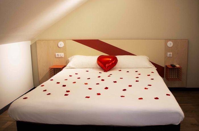 Ibis Budget Lunel Porte de Camargue Room