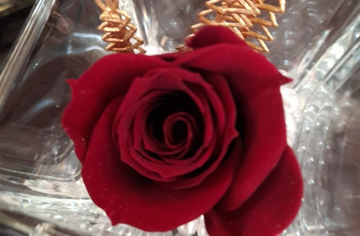 the gentle sheepfold on the edge