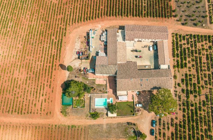Le Domaine la Bergerade se situe à mi-chemin entre Nîmes et Montpellier, entre mer et montagnes, le domaine et ses 30 hectares de vignes en appellation Costières de Nîmes, dominent la Petite Camargue et ses étangs.  En 2021, Jean-Pierre et Virginie rachètent le Clos des Américains, lui insuffle une nouvelle dynamique et renomme celui-ci en Domaine La Bergerade, mettant à l'honneur l'ancienne bergerie du clos.  Aujourd'hui, ils souhaitent transmettre leur admiration et leur amour du vin à travers leurs cuvée