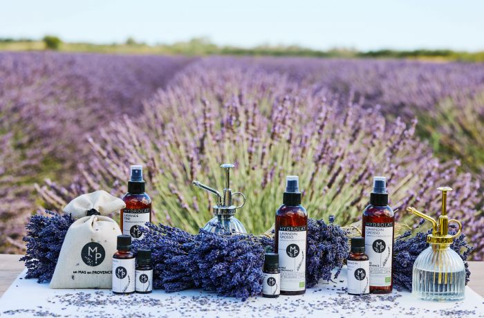 Un mas en Provence bellegarde