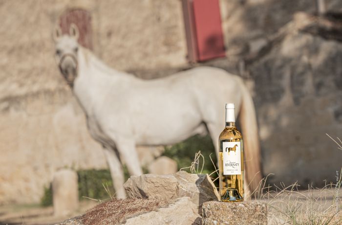 domaine hivernaty aimargues