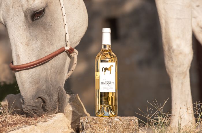 domaine hivernaty aimargues