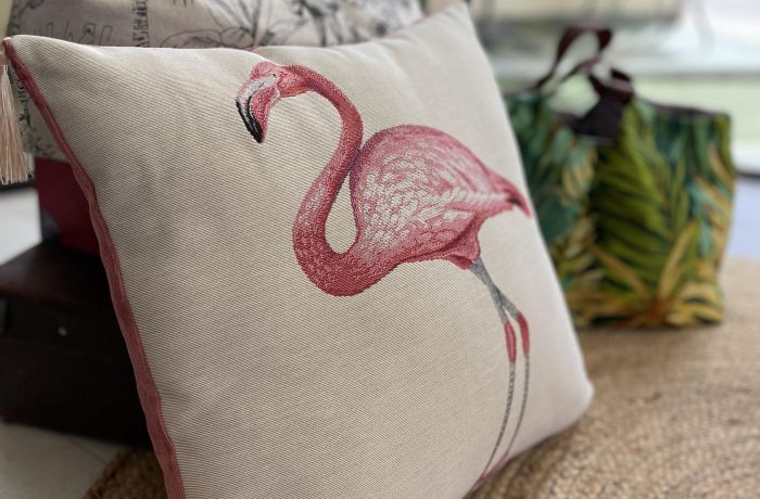 flamant rose