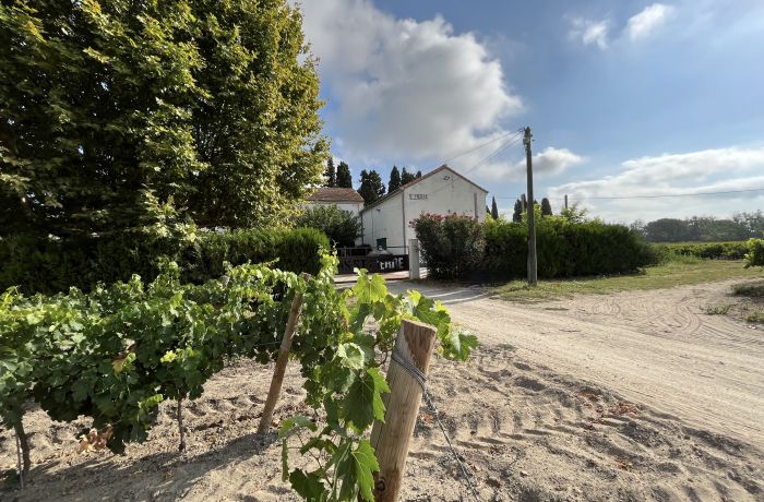 Loïc Nencioni Montcalm estate