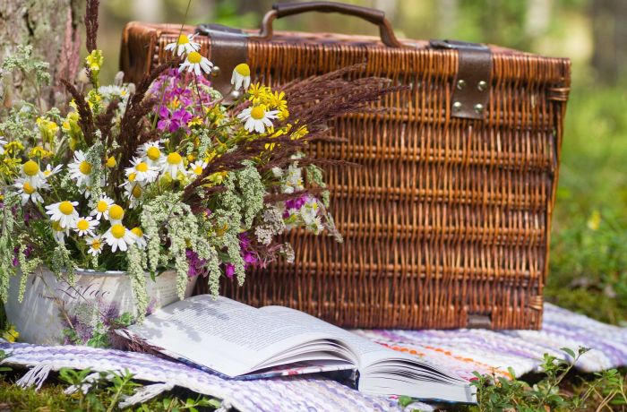 Camargue picnic