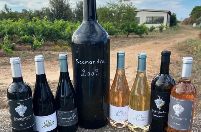 Scamandre vineyard
