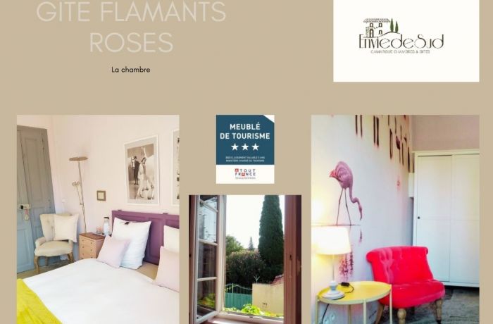 furnished tourist accommodation with pink flamingos Envie de Sud in Vauvert