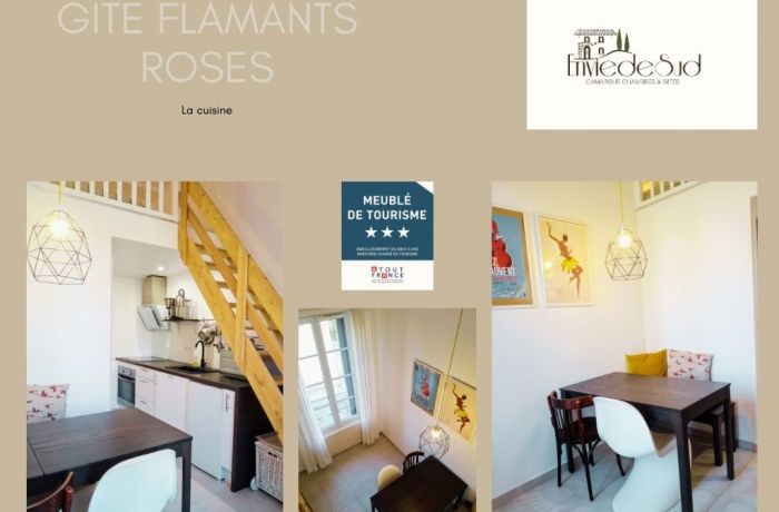 furnished tourist accommodation with pink flamingos Envie de Sud in Vauvert