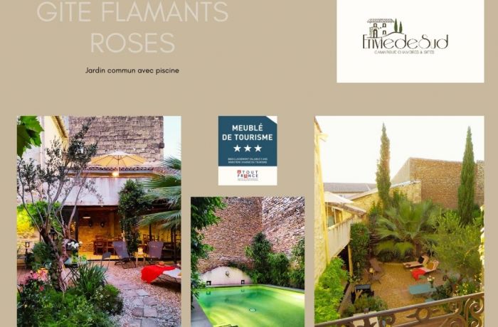 furnished tourist accommodation with pink flamingos Envie de Sud in Vauvert