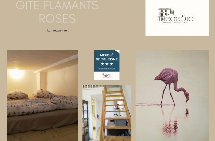 furnished tourist accommodation with pink flamingos Envie de Sud in Vauvert