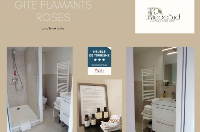 furnished tourist accommodation with pink flamingos Envie de Sud in Vauvert