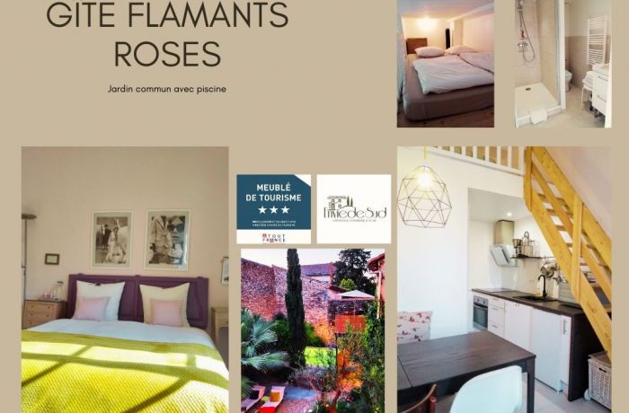 furnished tourist accommodation with pink flamingos Envie de Sud in Vauvert