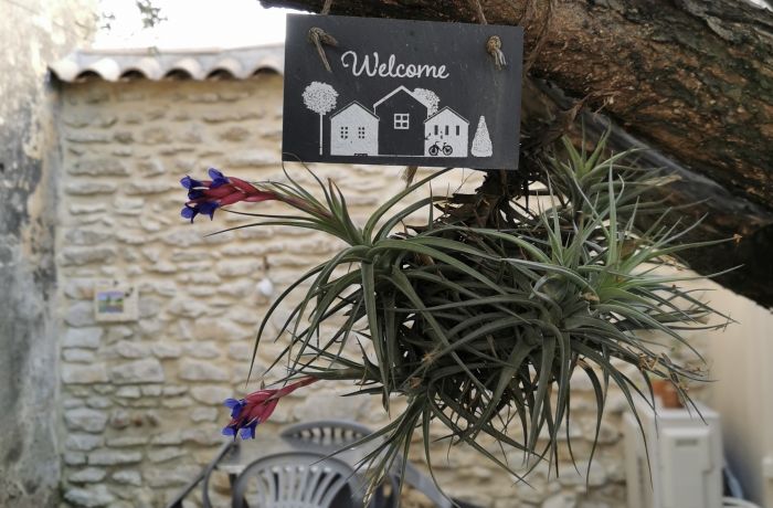 rental the cottages under the olive tree cottage Le mazet under the olive tree